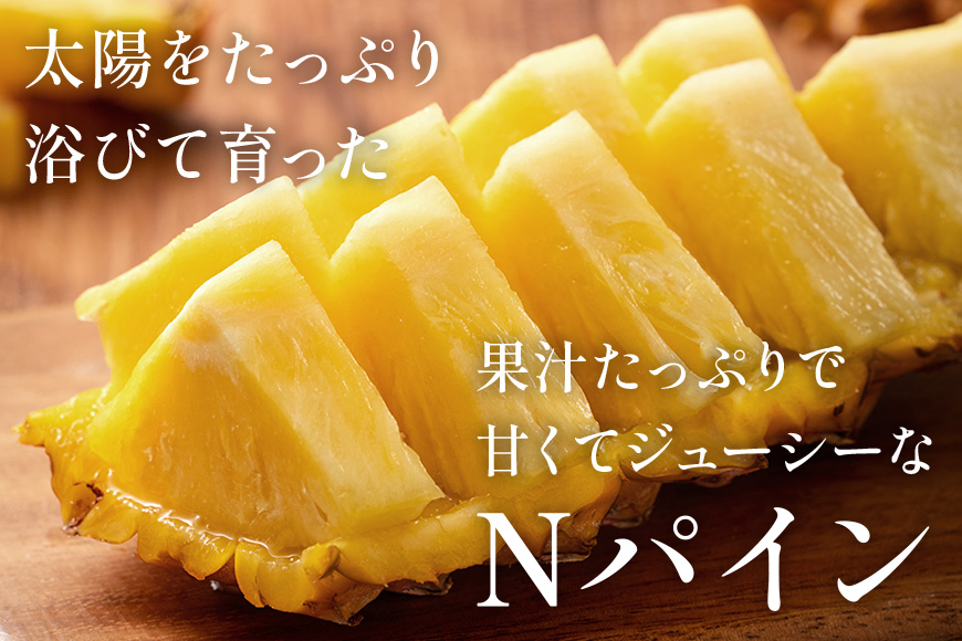 【先行予約 2026年発送】Nパイン1玉　自然の恵み詰まったパイナップル