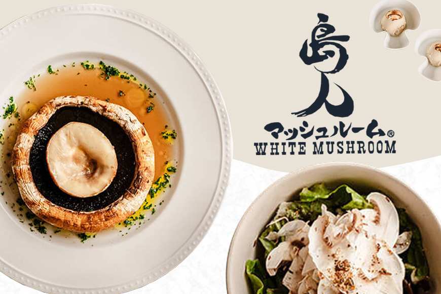 島人マッシュルームセット（ホワイト・ブラウン100g×２セット）