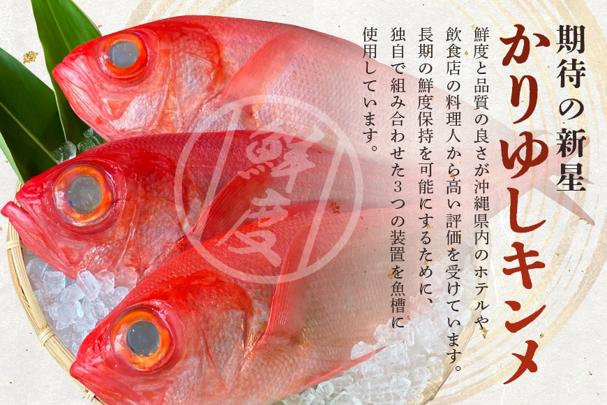 【特選】沖縄県糸満産金目鯛・かりゆしキンメのしゃぶしゃぶセット4～5人前