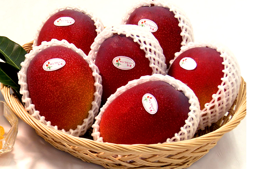 【2026年発送】沖縄県知事賞４度受賞（サンフルーツ糸満）マンゴー　秀品　2kg