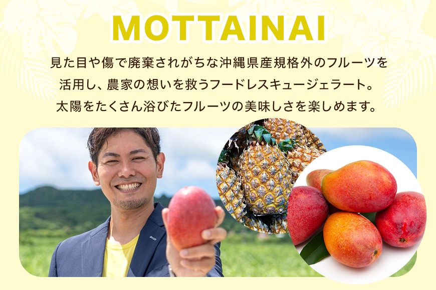 MOTTAINAI パイナップルジェラート　6個入り