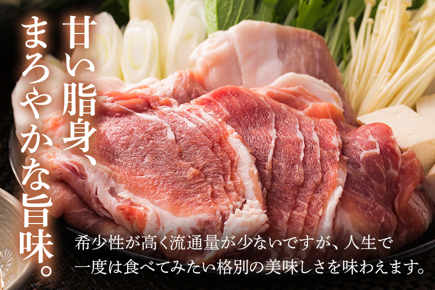 美ら島あぐー豚しゃぶしゃぶセット 2種食べ比べ(ロース、バラ) 合計1800g