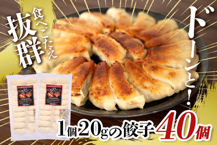 美ら島あぐー餃子 40個セット 20個入×2パック 絶品 こだわり 豚 肉 国産 ごはん おかず お弁当 冷凍 ぎょうざ ギョウザ 小分け BBQ ギョーザ 惣菜 晩酌 ギフト 手作り 生餃子 豚肉 冷凍食品 おつまみ 冷凍餃子 ブランド豚 総菜 中華 焼き餃子 沖縄県 糸満市