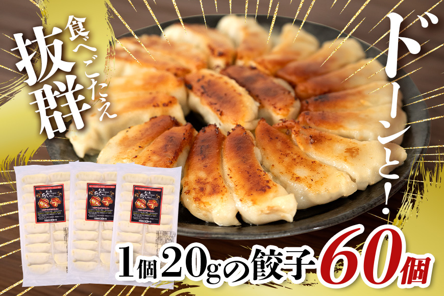 美ら島あぐー餃子 60個セット 20個入×3パック 絶品 こだわり 豚 肉 国産 ごはん おかず お弁当 冷凍 ぎょうざ ギョウザ 小分け BBQ ギョーザ 惣菜 晩酌 ギフト 手作り 生餃子 豚肉 冷凍食品 おつまみ 冷凍餃子 ブランド豚 総菜 中華 焼き餃子 沖縄県 糸満市