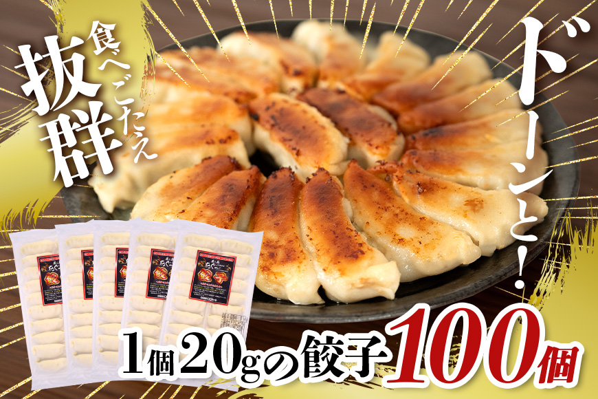 美ら島あぐー餃子 100個セット 20個入×5パック 絶品 こだわり 豚 肉 国産 ごはん おかず お弁当 冷凍 ぎょうざ ギョウザ 小分け BBQ ギョーザ 惣菜 晩酌 ギフト 手作り 生餃子 豚肉 冷凍食品 おつまみ 冷凍餃子 ブランド豚 総菜 中華 焼き餃子 沖縄県 糸満市