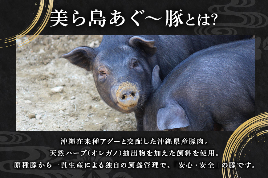 美ら島 あぐー 生ハム 計 1.05kg (70g×15パック) あぐー豚 15p 小分け 大容量 冷凍 長期保存 おかず お酒 おつまみ 惣菜 アグー豚 国産 ブランド豚 使用 サラダ 豚肉 もも肉 モモ肉 絶品 簡易包装 お手軽 簡単調理 おいしい 沖縄県 沖縄 糸満市 沖縄県 糸満市