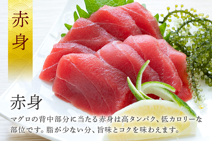 沖縄県産「旬の天然本マグロ」をお届け！切り落としセット 1.2kg