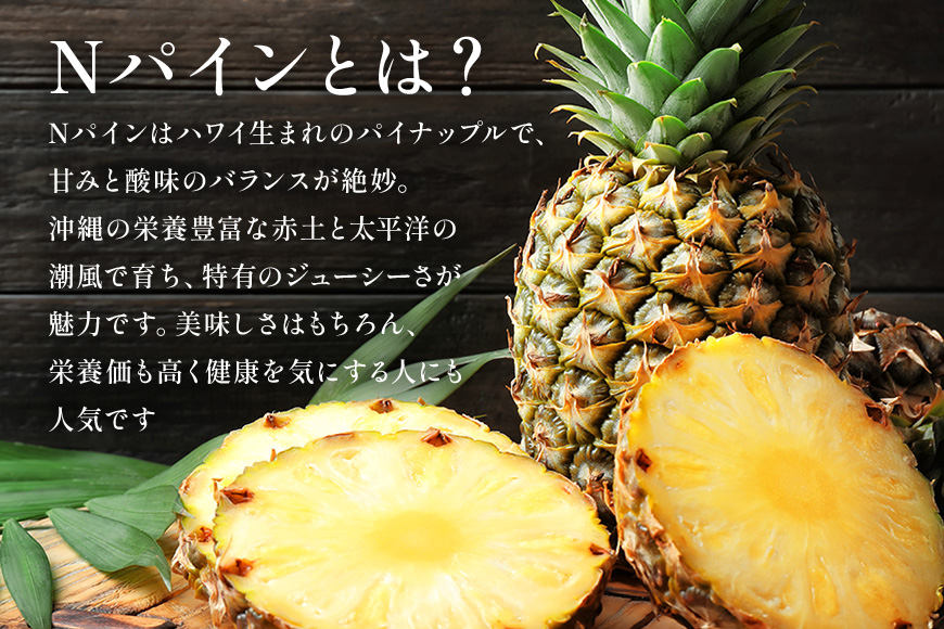 【先行予約 2026年発送】Nパイン2玉　自然の恵み詰まったパイナップル