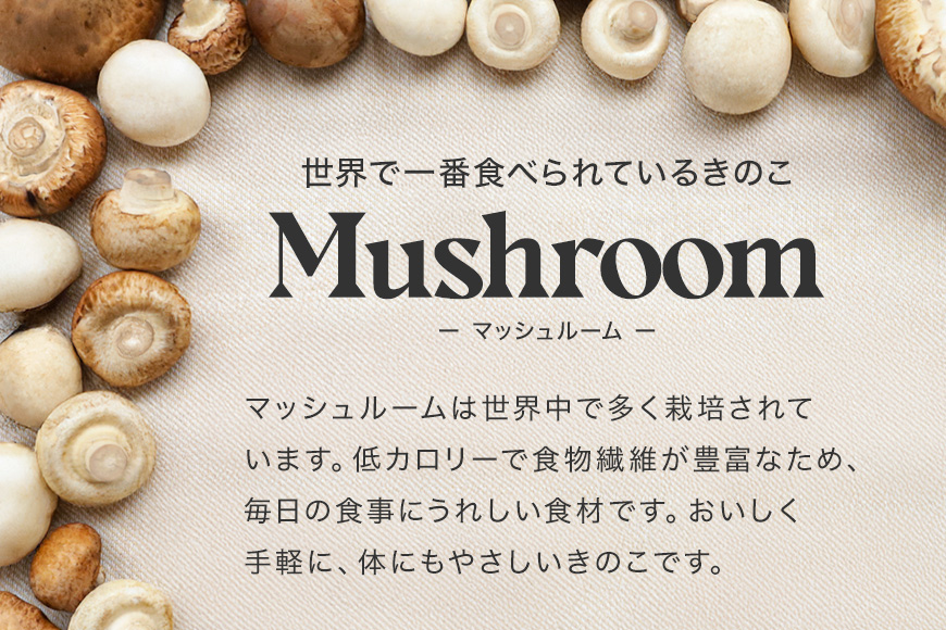 島人マッシュルームセット（ホワイト・ブラウン100g×２セット）