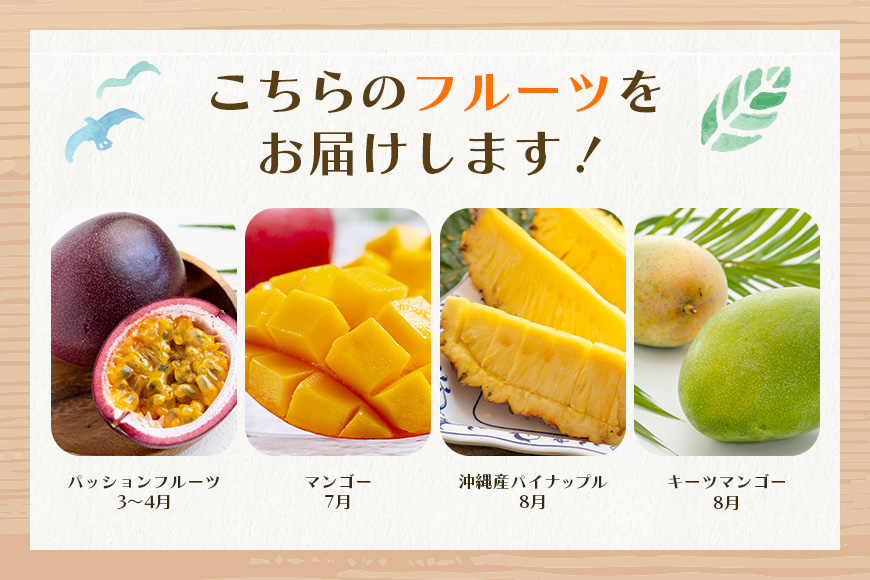 【定期便全4回】沖縄フルーツ定期便 4回 パッションフルーツ 沖縄産パイナップル マンゴー キーツマンゴー