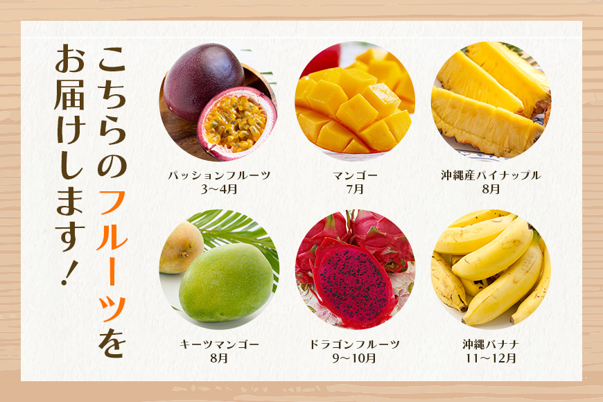【定期便全6回】沖縄フルーツ定期便 6回 パッションフルーツ 沖縄産パイナップル マンゴー キーツマンゴー ドラゴンフルーツ 沖縄バナナ