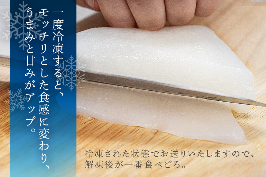 モチっとした新食感！ソデイカ（セーイカ）約5kg