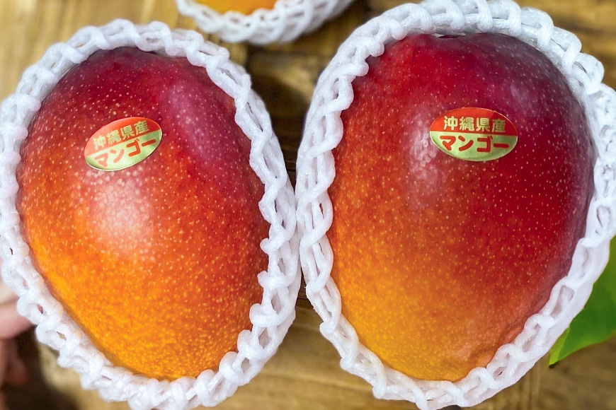 【2026年発送】【令和5年度優秀賞受賞】でーじマンゴーアップルマンゴー1kg(優品) 26-4