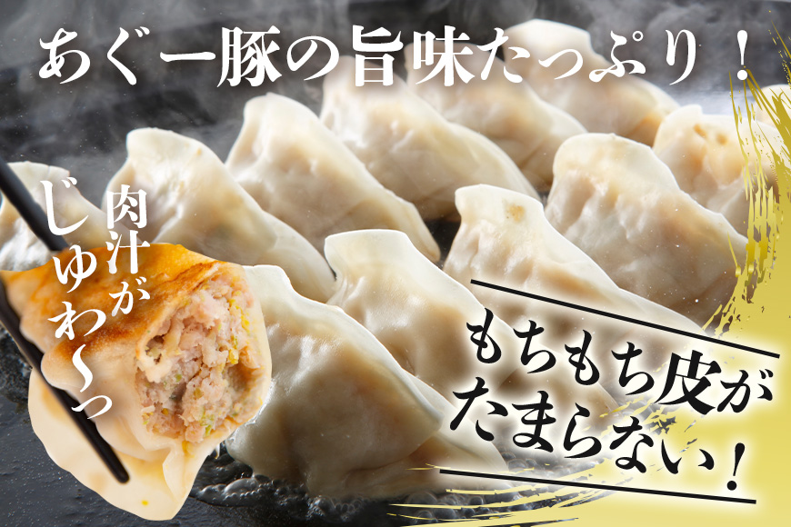 美ら島あぐー餃子 60個セット 20個入×3パック 絶品 こだわり 豚 肉 国産 ごはん おかず お弁当 冷凍 ぎょうざ ギョウザ 小分け BBQ ギョーザ 惣菜 晩酌 ギフト 手作り 生餃子 豚肉 冷凍食品 おつまみ 冷凍餃子 ブランド豚 総菜 中華 焼き餃子 沖縄県 糸満市