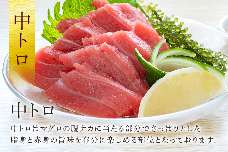 沖縄県産「旬の天然本マグロ」をお届け！切り落としセット 800g