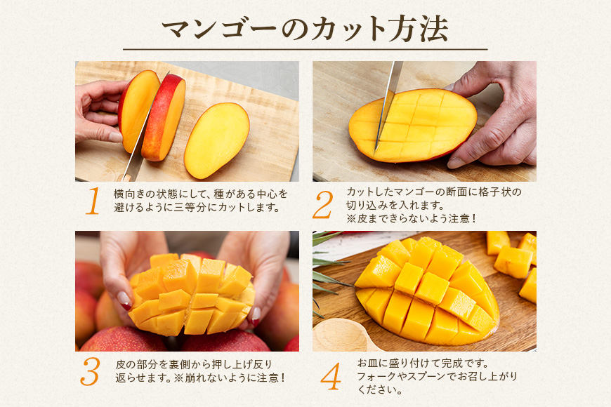 【先行予約 2026年発送】家庭用マンゴー 1kg 沖縄県産 マンゴー 家庭用 1キロ 国産 完熟マンゴー 果物 南国 くだもの フルーツ 完熟 夏 旬 特産品 沖縄 お取り寄せ 産地直送 農家直送 甘い 濃厚 糸満市