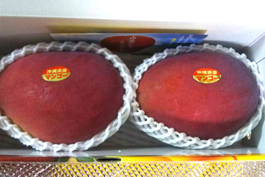 【2026年発送】優秀賞受賞のかしみ園アップルマンゴー1kg 18-5