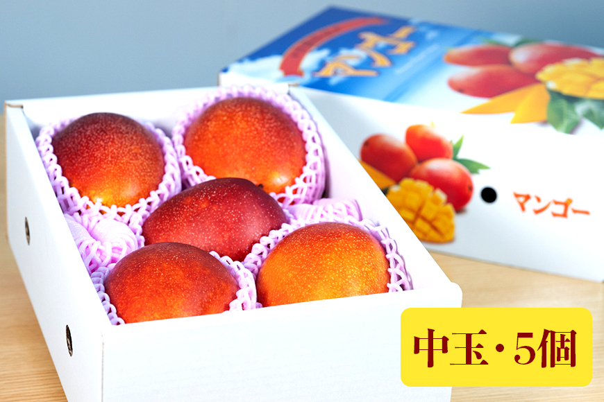 【2026年発送】優秀賞受賞のかしみ園アップルマンゴー2kg 18-4