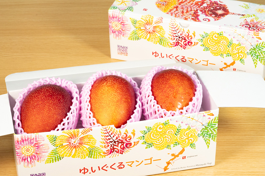 【2026年発送】沖縄県糸満産の「濃厚アップルマンゴー」1kg　オリジナル贈答用化粧箱入り　生産者：ゆいぐくるマンゴー 33-2