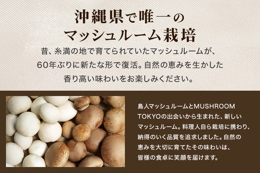 島人マッシュルームセット（ホワイト・ブラウン100g×２セット）