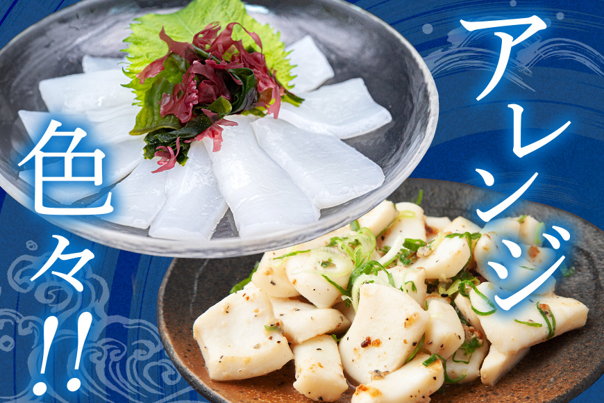 モチっとした新食感！ソデイカ（セーイカ）約3kg