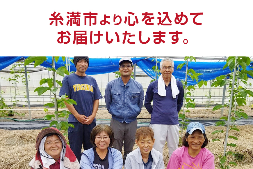 【2026年発送】糸満産　糸ちゃんパッションフルーツ＜訳あり／3kg＞ 104-1