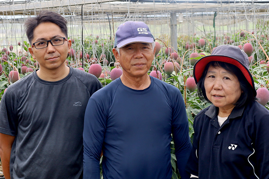 【2026年発送】優秀賞受賞のかしみ園アップルマンゴー1kg 18-5