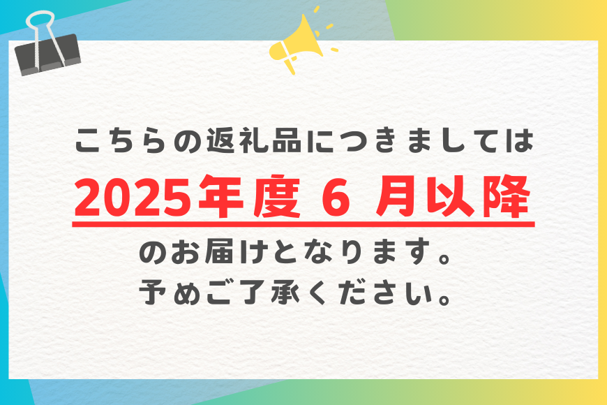 【2025年発送】沖縄県産マンゴー『極み。』大玉1.2kg 山城マンゴー屋 102-5