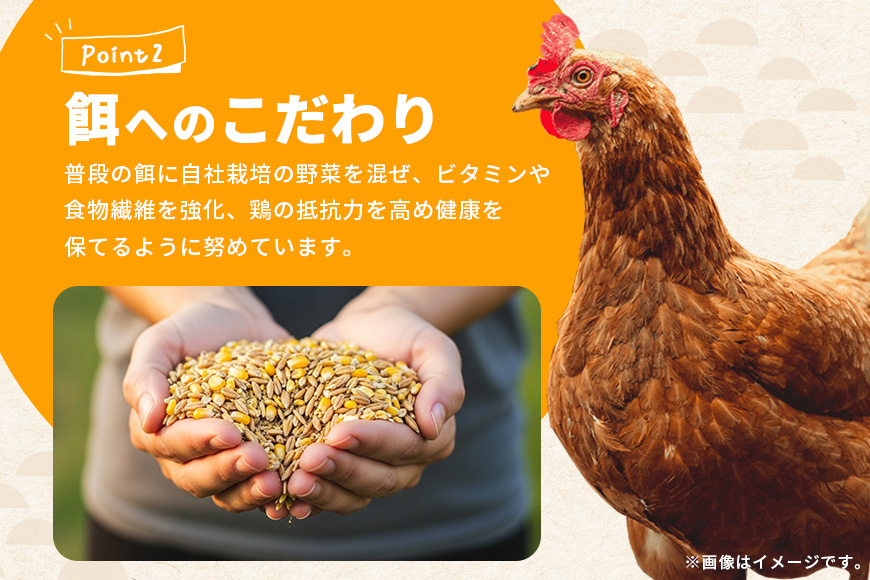 黄身がプリッ！沖縄の大自然が育んだ平飼い卵【ゆかりたまご】