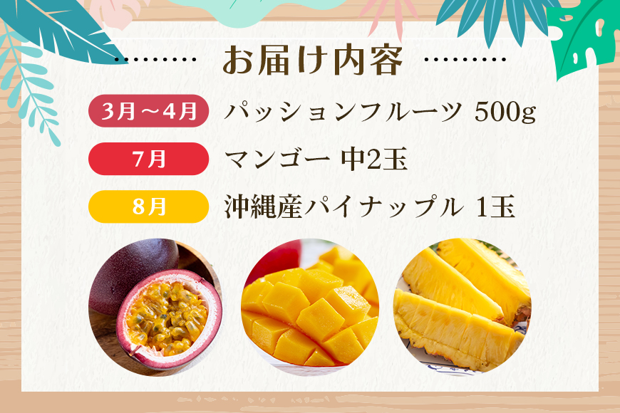 【定期便全3回】沖縄フルーツ定期便 3回 パッションフルーツ 沖縄産パイナップル マンゴー