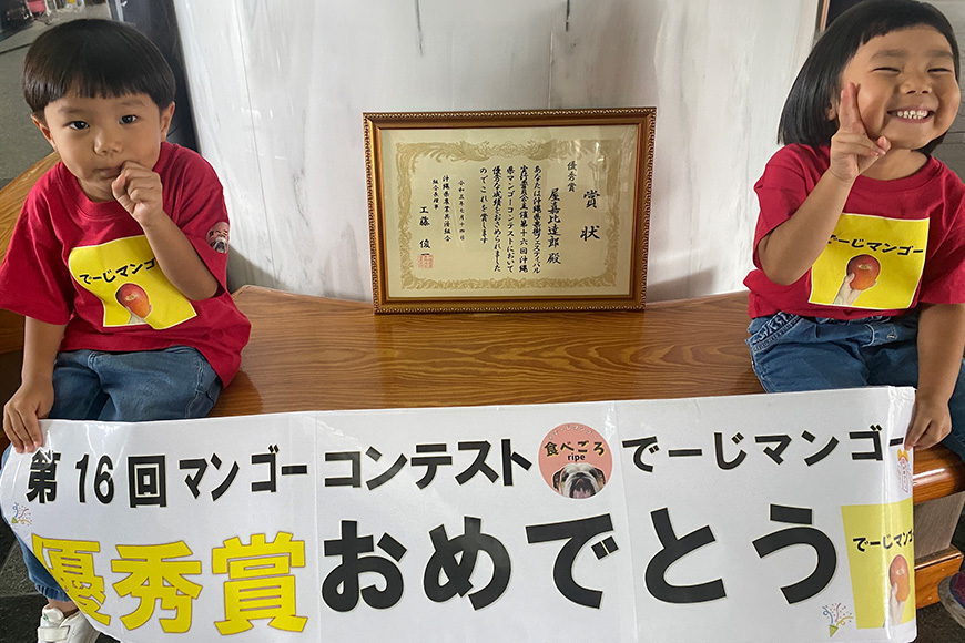 【2026年発送】【令和5年度優秀賞受賞】でーじマンゴーアップルマンゴー1kg(優品) 26-4