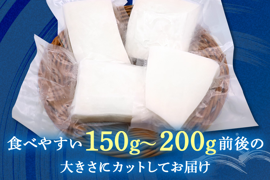 モチっとした新食感！ソデイカ（セーイカ）約1kg