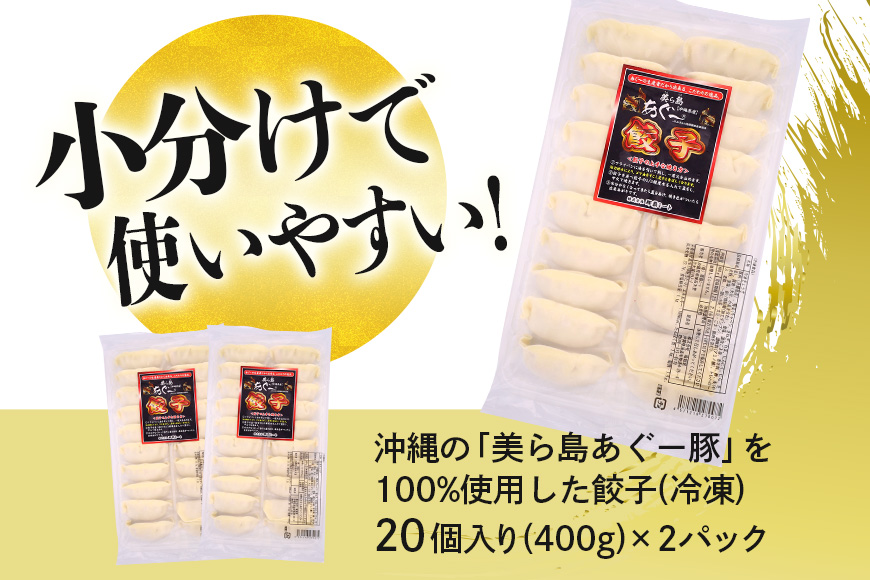 美ら島あぐー餃子 40個セット 20個入×2パック 絶品 こだわり 豚 肉 国産 ごはん おかず お弁当 冷凍 ぎょうざ ギョウザ 小分け BBQ ギョーザ 惣菜 晩酌 ギフト 手作り 生餃子 豚肉 冷凍食品 おつまみ 冷凍餃子 ブランド豚 総菜 中華 焼き餃子 沖縄県 糸満市