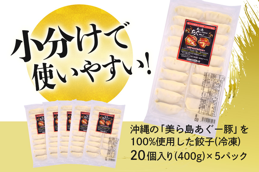 美ら島あぐー餃子 100個セット 20個入×5パック 絶品 こだわり 豚 肉 国産 ごはん おかず お弁当 冷凍 ぎょうざ ギョウザ 小分け BBQ ギョーザ 惣菜 晩酌 ギフト 手作り 生餃子 豚肉 冷凍食品 おつまみ 冷凍餃子 ブランド豚 総菜 中華 焼き餃子 沖縄県 糸満市