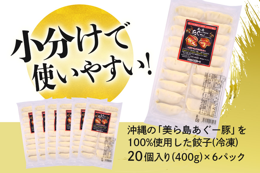 美ら島あぐー餃子 120個セット 20個入×6パック 絶品 こだわり 豚 肉 国産 ごはん おかず お弁当 冷凍 ぎょうざ ギョウザ 小分け BBQ ギョーザ 惣菜 晩酌 ギフト 手作り 生餃子 豚肉 冷凍食品 おつまみ 冷凍餃子 ブランド豚 総菜 中華 焼き餃子 沖縄県 糸満市