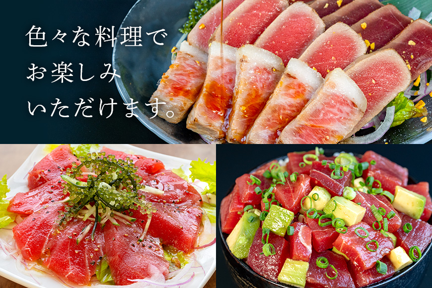 沖縄県産「旬の天然本マグロ」をお届け！切り落としセット 800g