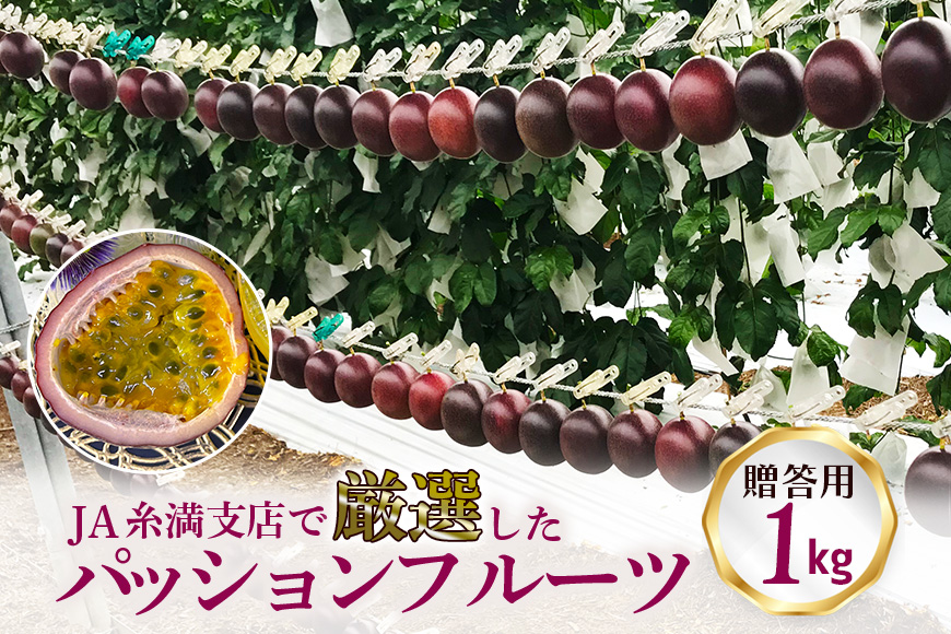 【2026年発送】JA糸満支店で厳選した「パッションフルーツ」贈答用　約1kg 5-4