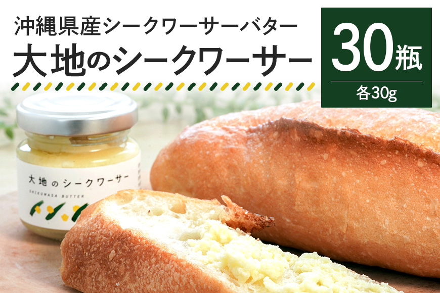 【大容量セット】沖縄県産シークワーサーバター「大地のシークワーサー」30瓶入り