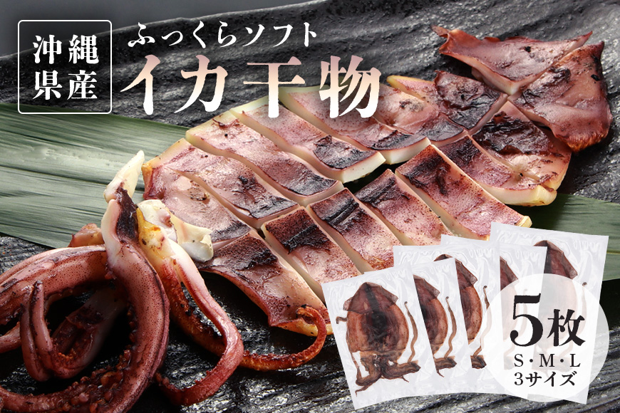 【海人（漁師）のまち】沖縄県産イカのふっくらソフト干物５枚セット