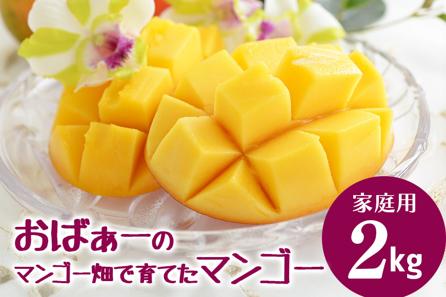 【2026年発送】おばぁーのマンゴー畑で育てたマンゴー2kg（家庭用） 17-4