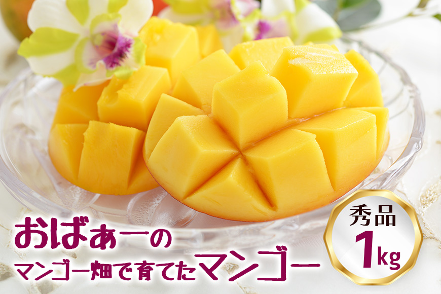 【2026年発送】おばぁーのマンゴー畑で育てたマンゴー1kg（秀品） 17-6