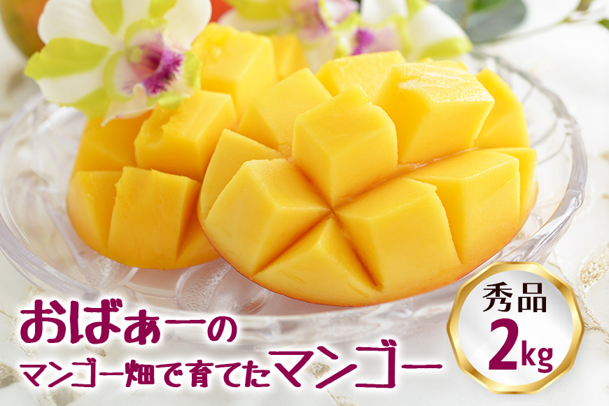 【2026年発送】おばぁーのマンゴー畑で育てたマンゴー2kg（秀品） 17-5