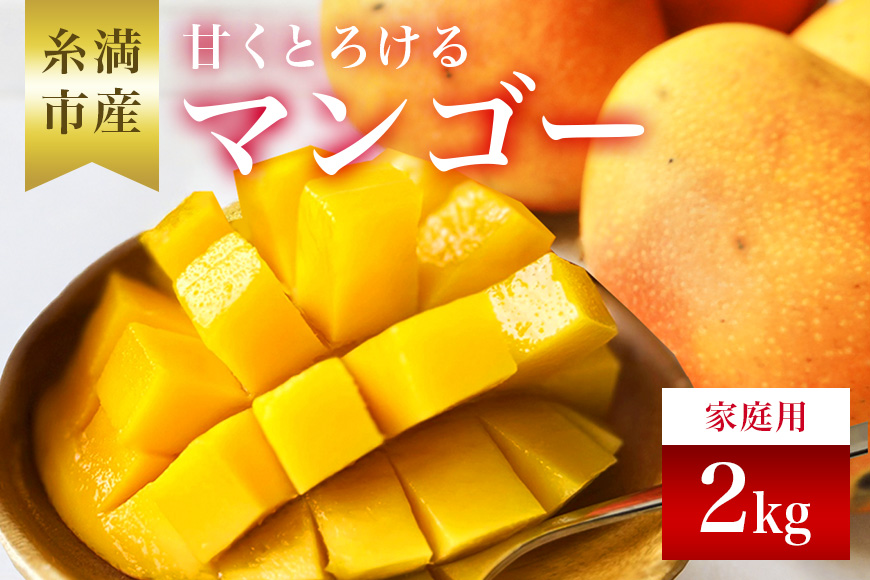 【2026年発送】かねよしマンゴーの甘くとろけるマンゴー2kg（家庭用） 93-2