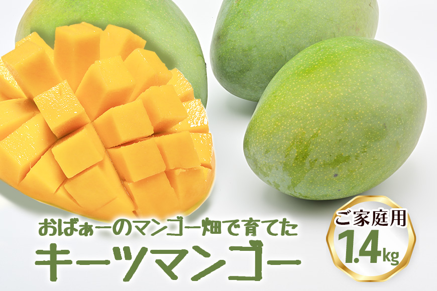 【2026年発送】おばぁーのマンゴー畑で育てたキーツマンゴー1.4kg（ご家庭用） 17-3