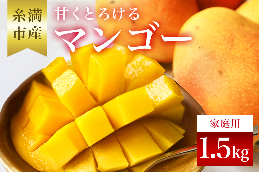 【2026年発送】訳あり！沖縄県糸満産　かねよしマンゴーのアーウィンマンゴー1.5kg 93-7