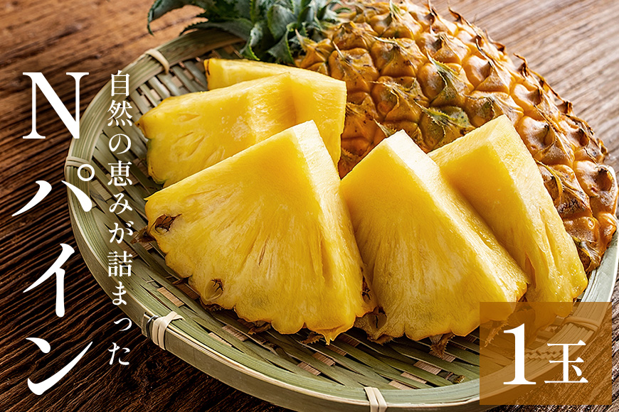 【先行予約 2026年発送】Nパイン1玉　自然の恵み詰まったパイナップル