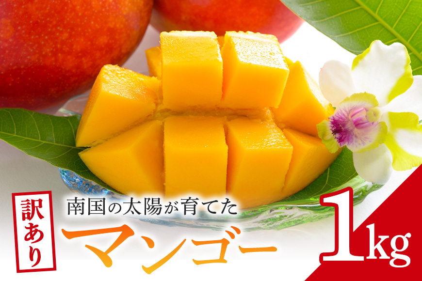 【先行予約 2026年発送】訳ありマンゴー 1kg 沖縄県産 マンゴー 訳あり 1キロ 訳アリ 国産 完熟マンゴー 果物 南国 くだもの フルーツ 完熟 夏 旬 特産品 沖縄 取り寄せ 産地直送 農家直送 甘い 濃厚 糸満市
