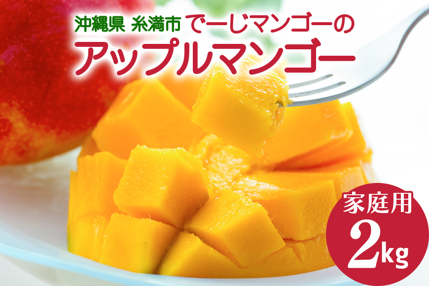 【2026年発送】沖縄糸満市産　でーじマンゴーのアップルマンゴー2kg(家庭用) わけあり 26-1