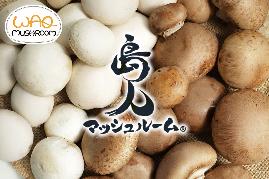 島人マッシュルームセット（ホワイト・ブラウン100g×２セット）