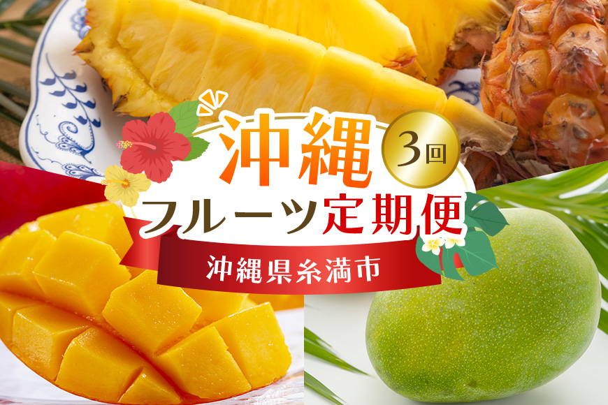 【定期便全3回】沖縄フルーツ定期便 3回 沖縄産パイナップル マンゴー キーツマンゴー